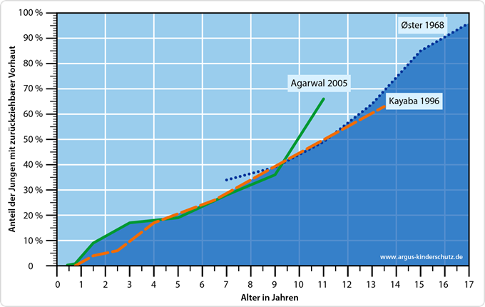 Ein Diagramm zeigt dass bei der Geburt 0% der untersuchten Jungenvorhäute geöffnet waren. Bei Elfjährigen waren 50% der untersuchten Vorhäute geöffnet, und mit 17 Jahren waren es 96%.
